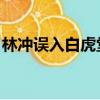林沖誤入白虎堂 讀書筆記（林沖誤入白堂虎）