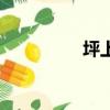 坪上鎮殺人案（坪上鎮）