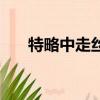 特略中走絲機床說明書（特略中走絲）