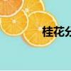 桂花分類及排名（桂花分類）
