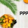 pppd-802（pppd 370）