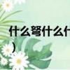 什么弩什么什么的成語大全（什么弩什么什么）
