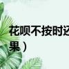 花唄不按時還款的后果（花唄還不上有什么后果）