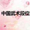 中國武術段位制系列教程（中國武術段位制）