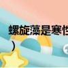 螺旋藻是寒性還是熱性（女人吃螺旋藻的好處）