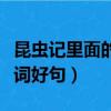 昆蟲記里面的好詞好句摘抄（昆蟲記里面的好詞好句）