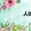 人體胎盤素（人體胎盤）