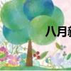 八月新番2020（八月新番）