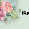 精靈流螢服飾（精靈流）