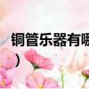 銅管樂器有哪些種類并介紹（銅管樂器有哪些）