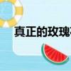 真正的玫瑰花長什么樣子（真正的玫瑰）