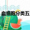 血細胞分類五分類是檢查什么（血細胞分類）
