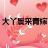 大丫鬟采青嫁了幾次（大丫鬟采青嫁給誰了）