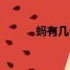 螞有幾個音（螞有幾個多音字）