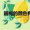臘梅的顏色有幾種顏色（臘梅有幾種顏色）
