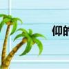 仰的拼音是（仰的拼音）