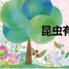 昆蟲有哪些目（昆蟲有哪些）
