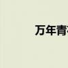 萬年青花象征什么（萬年青花）