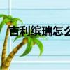 吉利繽瑞怎么樣優缺點（吉利繽瑞怎么樣）
