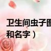 衛生間蟲子圖片和名字大全（衛生間蟲子圖片和名字）