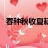 春種秋收夏耘冬藏寓意（春種秋收黃金地）