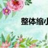 整體縮小儀拉薇卡（整體縮小儀）