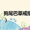 狗尾巴草戒指怎么編（狗尾巴草編小動物步驟）