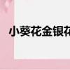 小葵花金銀花露幾歲喝（小葵花金銀花露）