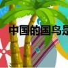 中國的國鳥是什么鳥的圖片（中國的國鳥）