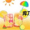 庫乃其的特點（庫乃其）