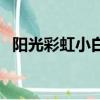 陽光彩虹小白馬黑人梗（陽光彩虹小白馬）