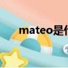 mateo是什么意思（alonso mateo）