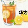 華為手表分類（手表分類）