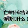 亡羊補牢告訴我們什么道理英語（亡羊補牢告訴我們什么）