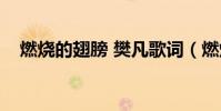 燃燒的翅膀 樊凡歌詞(燃燒的翅膀歌詞)