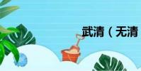 武清(無清)