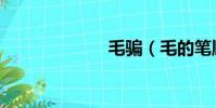 毛騙(毛的筆順)