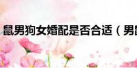 鼠男狗女婚配是否合適(男鼠女兔婚配好嗎)