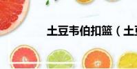 土豆韋伯扣籃(土豆韋伯)