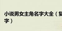 小說男女主角名字大全(復仇島主角叫什么名字)