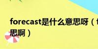 forecast是什么意思呀(forecast是什么意思啊)