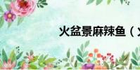 火盆景麻辣魚(火盆)