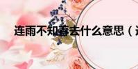 連雨不知春去什么意思(連雨不知春去)