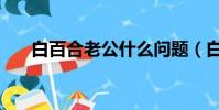 白百合老公什么問題(白百合的老公)