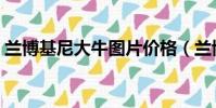 蘭博基尼大牛圖片價格(蘭博基尼大牛價格)
