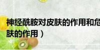 神經酰胺對皮膚的作用和危害(神經酰胺對皮膚的作用)