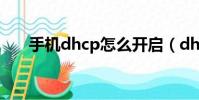 手機dhcp怎么開啟(dhcp怎么開啟)