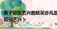 黃子韜張藝興鹿晗吳亦凡是一個組合嗎(黃子韜張藝興)