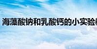 海藻酸鈉和乳酸鈣的小實驗教程(海藻酸鈉)