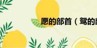 愿的部首(鴛的部首)